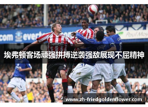 埃弗顿客场顽强拼搏逆袭强敌展现不屈精神