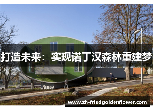 打造未来：实现诺丁汉森林重建梦